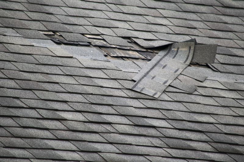 Replacing Damaged Shingles